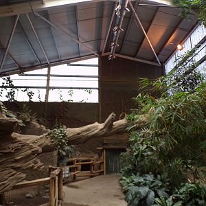 View inside elephant house 29.6.24