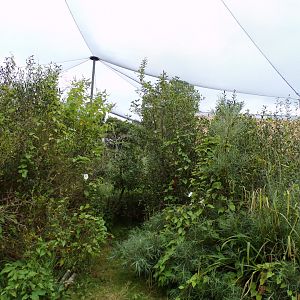 Lemur walkthrough 29.6.24