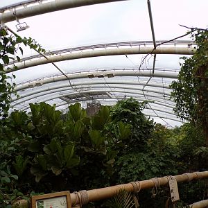 View over Monsoon forest 29.6.24