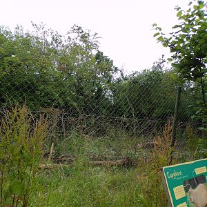 Capybara enclosure 29.6.24
