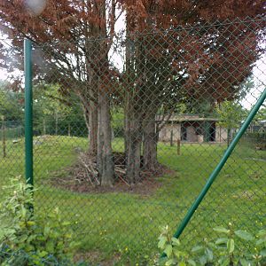Visayan spotted deer enclosure 29.6.24