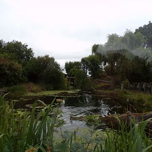 Giant otter enclosure 29.6.24