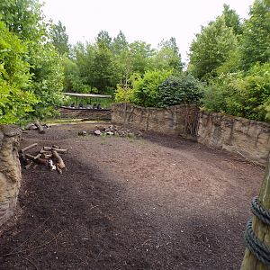 Visayan warty pig enclosure 29.6.24