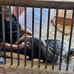 The bravest possible cuddle (1/25/25)