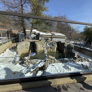 North American River Otter Enclosure - Seen Jan 26, 2025