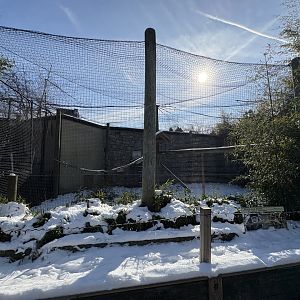 Outdoor Colobus Enclosure - Jan 26, 2025