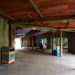 Sun bear enclosure viewing  area 29.6.24