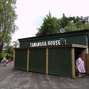 Tamandua house 29.6.24