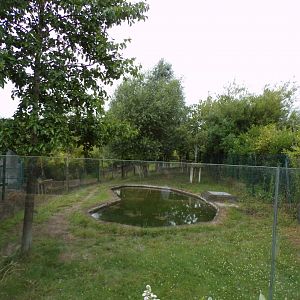 Malayan tapir enclosure 29.6.24