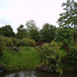 Andean bear enclosure 29.6.24