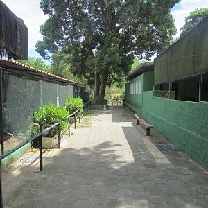 Arca do Noah - Marmoset enclosures