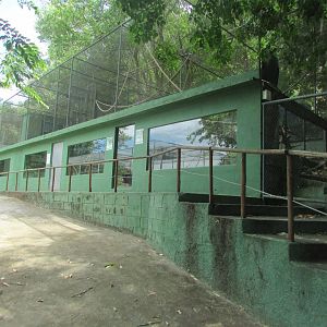 Arca do Noah - Macaw, guan and former capuchin monkey exhibit