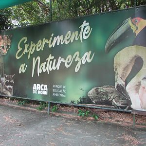 Arca do Noah - Mural