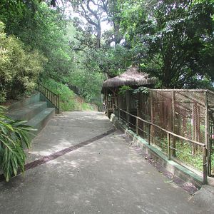 Arca do Noah - Native fauna corridor