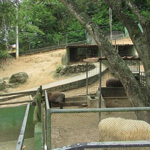 Arca do Noah - Sheep pen