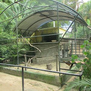 Arca do Noah - Nova Gansópolis