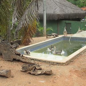 Arca do Noah - Part of waterfowl enclosure