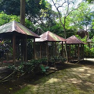 Zoológico Nacional de Nicaragua:  toucan aviaries