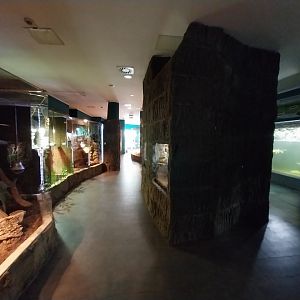 Reptile House - start of tour