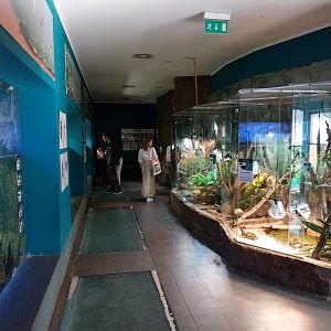 Reptile House - Aquaria, frogs and snakes