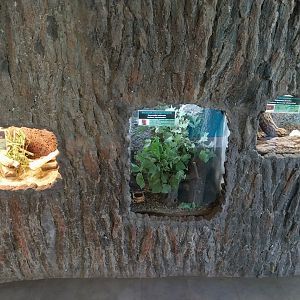 Reptile House - insects
