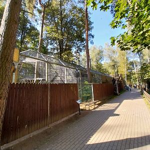 Carnivores general view