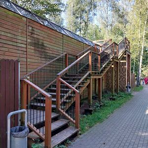 Carnivores - Acces to tiger viewing platform