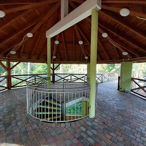 Siberian Tiger viewing platform