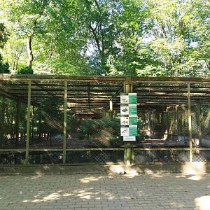 Mixed species waterfowl