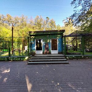 Ring-tailed Lemur enclosures
