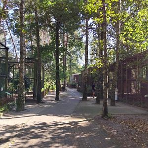 Birds of Prey avenue