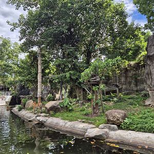 Indochnese Tiger exhibit