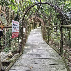 Hornbill Aviary Tunnel