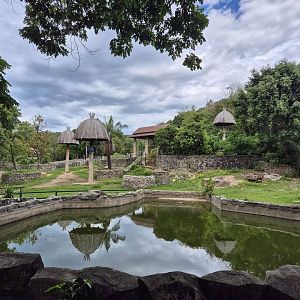 Asian Elephant exhibit