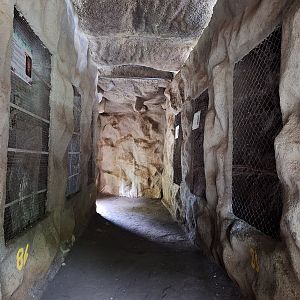 Zoológico Nacional de Nicaragua: Owl enclosures