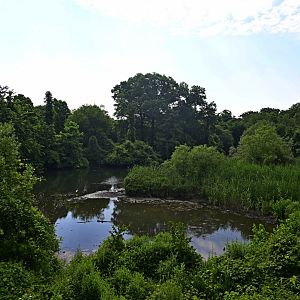 Bronx Zoo - Bronx River Landscape