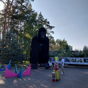 Canpol Zoo CzLuchow - King Kong