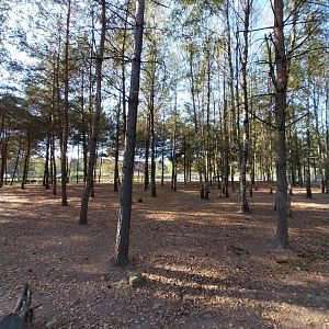 Canpol Zoo CzLuchow - Domestic horses