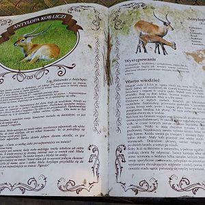 Canpol Zoo CzLuchow - Species sign