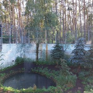 Canpol Zoo CzLuchow - Siberian Tiger (Panthera tigris altaica) pit
