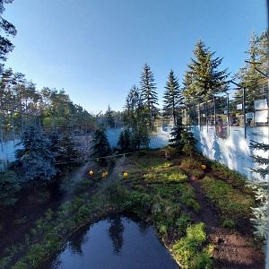 Canpol Zoo CzLuchow - Siberian Tiger (Panthera tigris altaica) pit