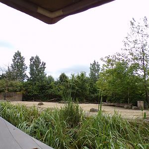 Banteng enclosure from the riverboat 29.6.24