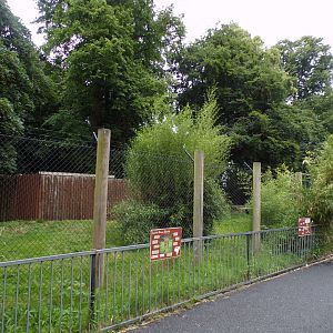 Sudan cheetah enclosure 29.6.24