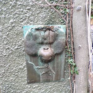 Orangutan sculpture in ROTRA 29.6.24