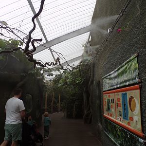 View inside RoTRA 29.6.24