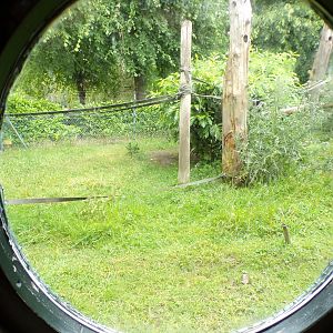 Circular windows to outdoor enclosure in Monkey house 29.6.24