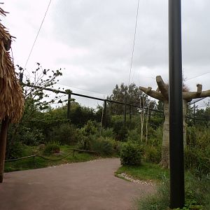 Lemur walkthrough 29.6.24