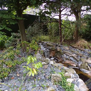 Water feature in red panda enclosure 29.6.24