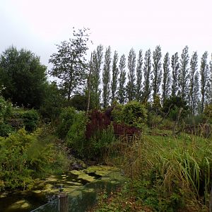 Andean bear enclosure 29.6.24