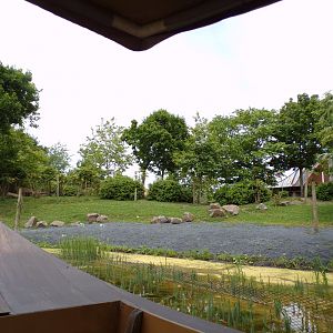 Lowland anoa enclosure from riverboat 29.6.24